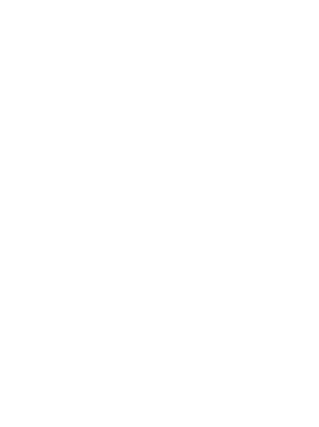 /static/media/phone_logo.0675ce8cd112d50cb0be.png